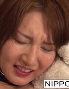 Nippon HD